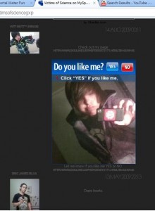 Screenshot of a MySpace comment with a photo of some kid taking a picture of himself in the mirror with his camera-phone and embedded Flash survey asking ‘Do You Like Me? Click “YES” if you like me.