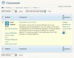 WordPress Comment Spam