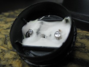 Photo of hard, white, solid compound inside CFL